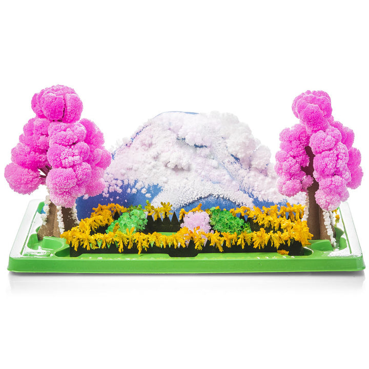 Magic Growing Garden - Playground Ready Fun